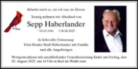 eine Anzeige